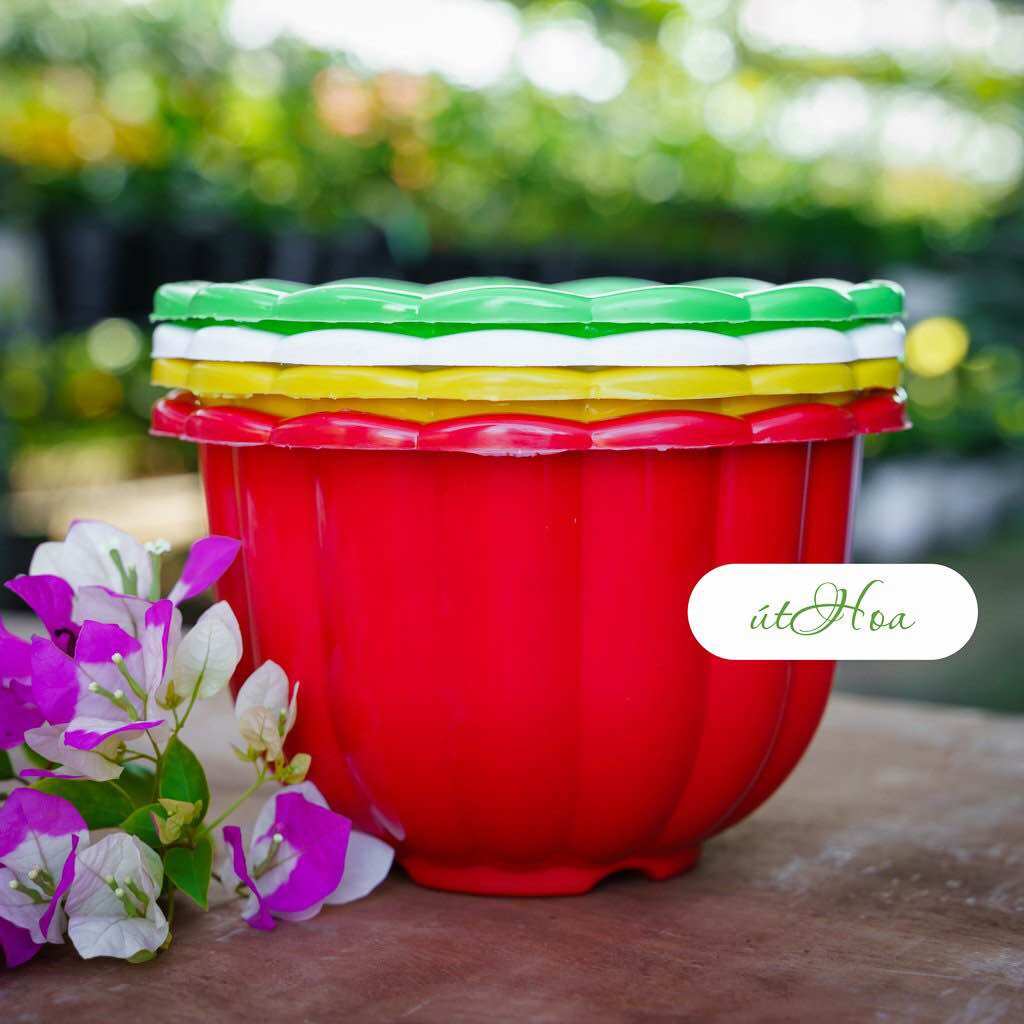 Combo 10 Chậu Treo Bí Lớn 22X14Cm (Chọn Màu, Kèm Dây Treo)