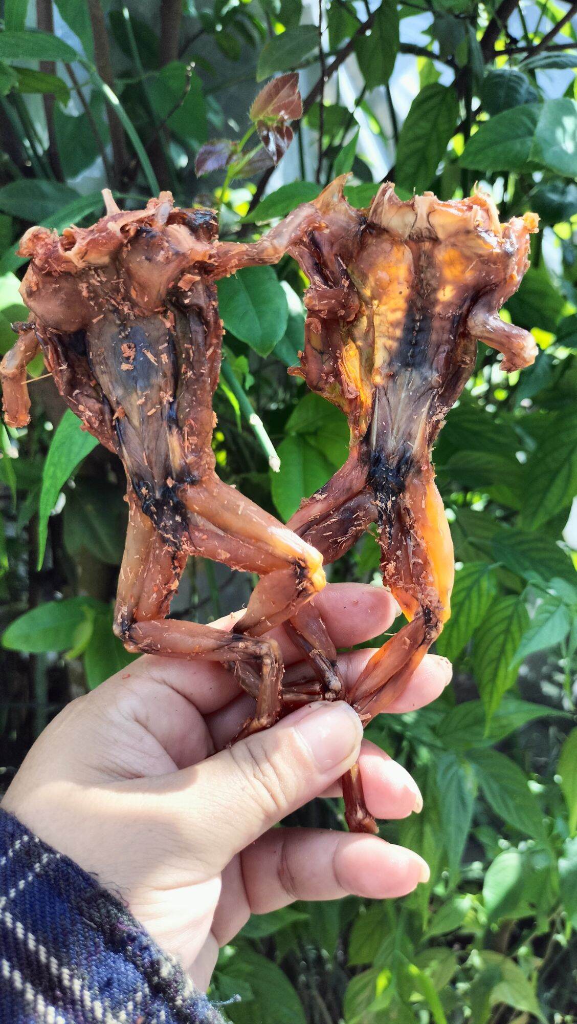 Khô ếch ướp xả ớt Đồng Tháp
