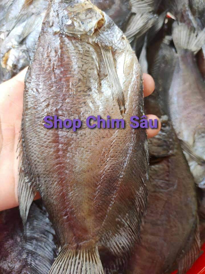Khô sặc rằn U Minh - Cà Mau (8 con/500gam)