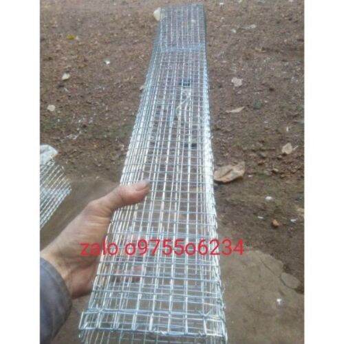 Lồng bẫy rắn 2 hom loại dài 74cm