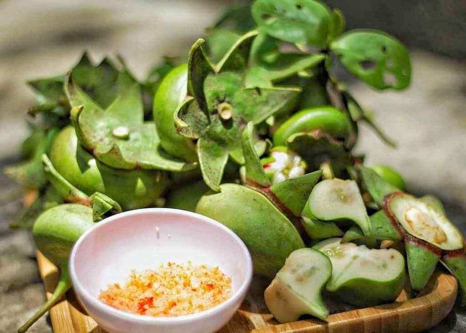 Trái bần miền tây