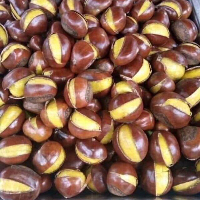 Combo 3kg hạt dẻ tươi sapa Hàng loại 1