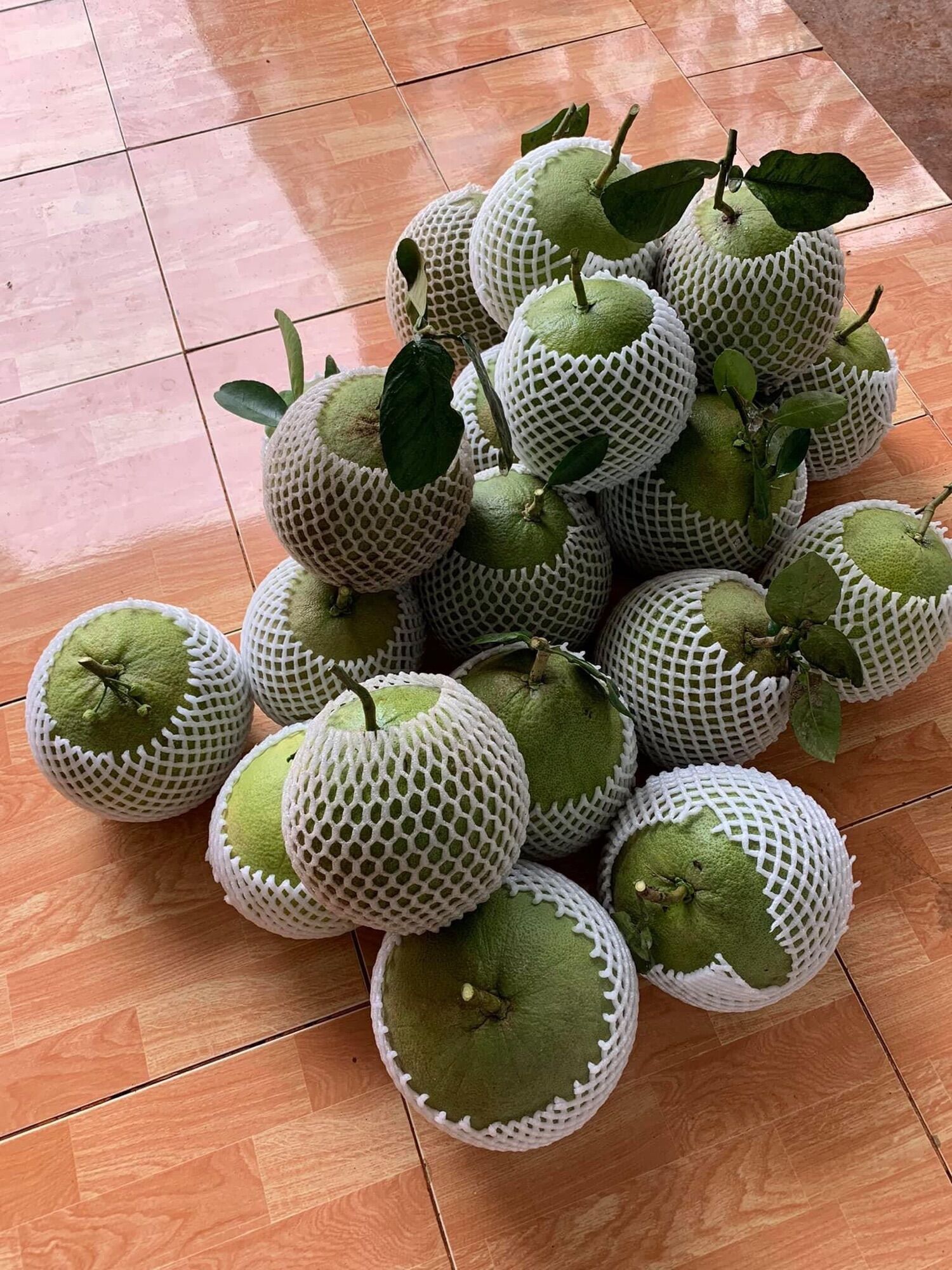 10 túi bọc bưởi 30x40cm + xốp