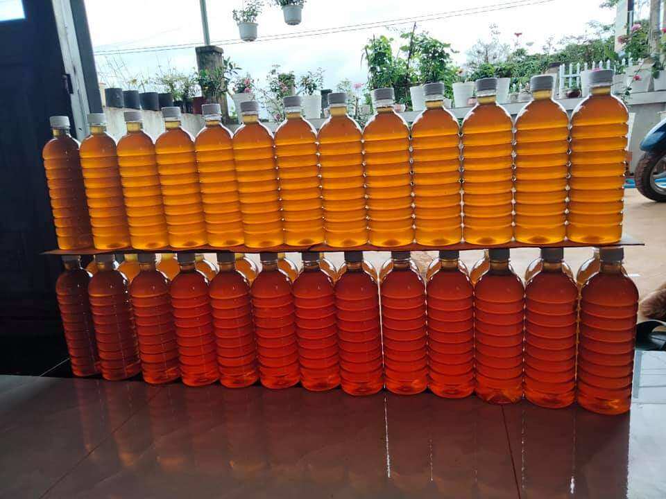 Mật ong hoa cà phê Lâm Đồng