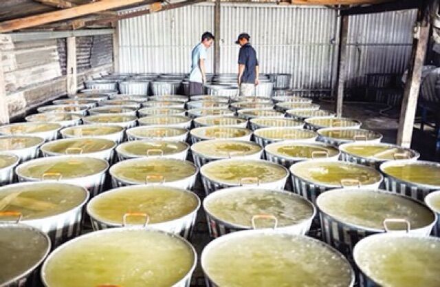 1KG ĐƯỜNG PHÈN SẠCH QUẢNG NGÃI