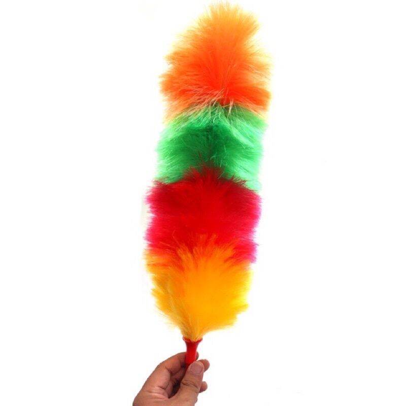 chổi quét bụi nilong mềm