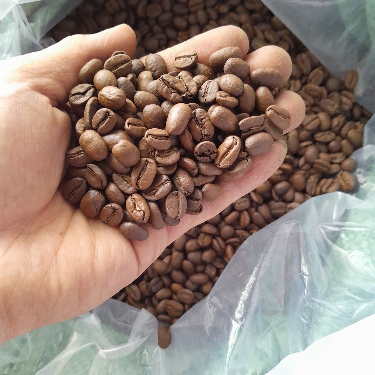 Cafe Arabica Cầu Đất nguyên chất 500g