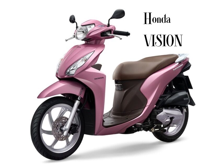 Màu Sơn Hồng Camay Vision Hệ 1K ( Sơn oto Xe Máy )đóng gói tùy chọn