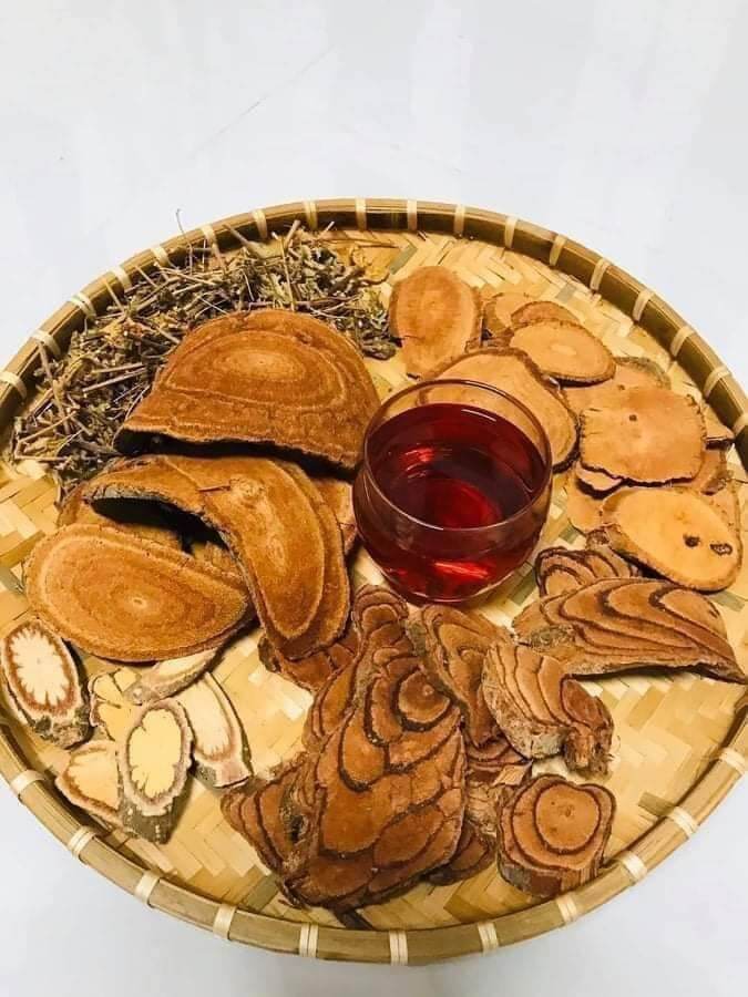 Cỏ máu tâm an