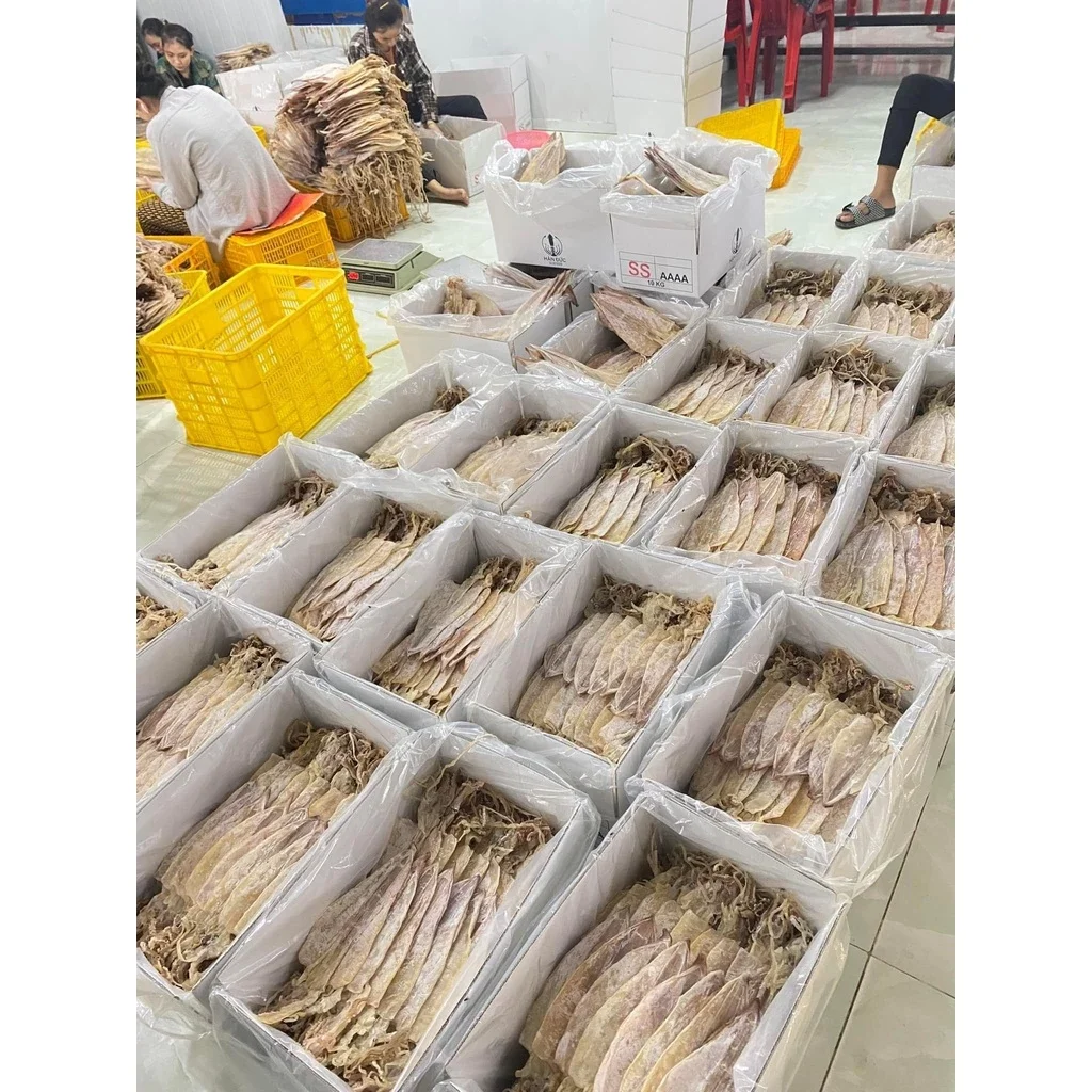 Combo 8-10 con mực khô bằng bàn tay