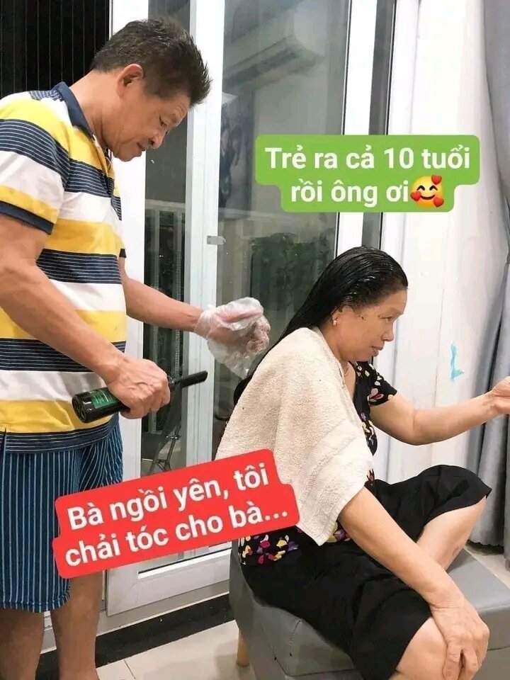 DẦU GỘI PHỦ BẠC DẠ THẢO LIÊN Bán sỉ. 