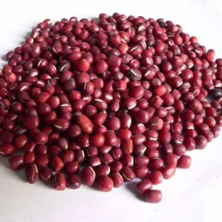 1Kg Đậu đỏ hạt nhỏ