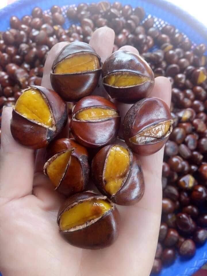 1kg Hạt dẻ Trùng Khánh