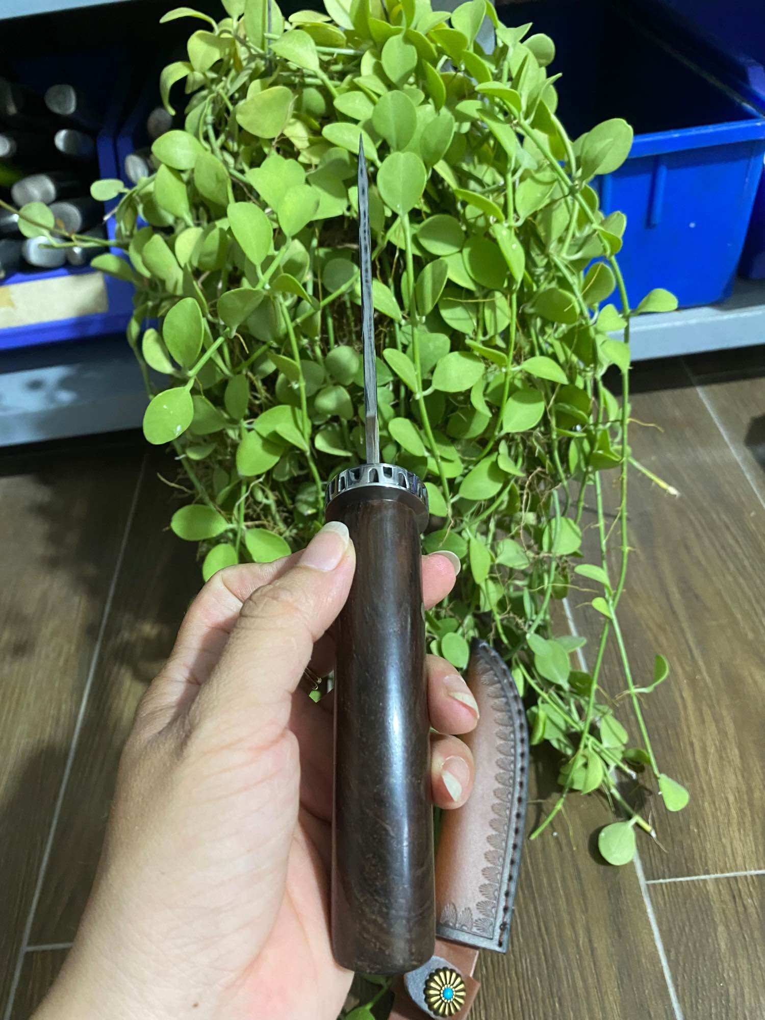 Dao gọt hoa quả tặng kèm bao đựng da