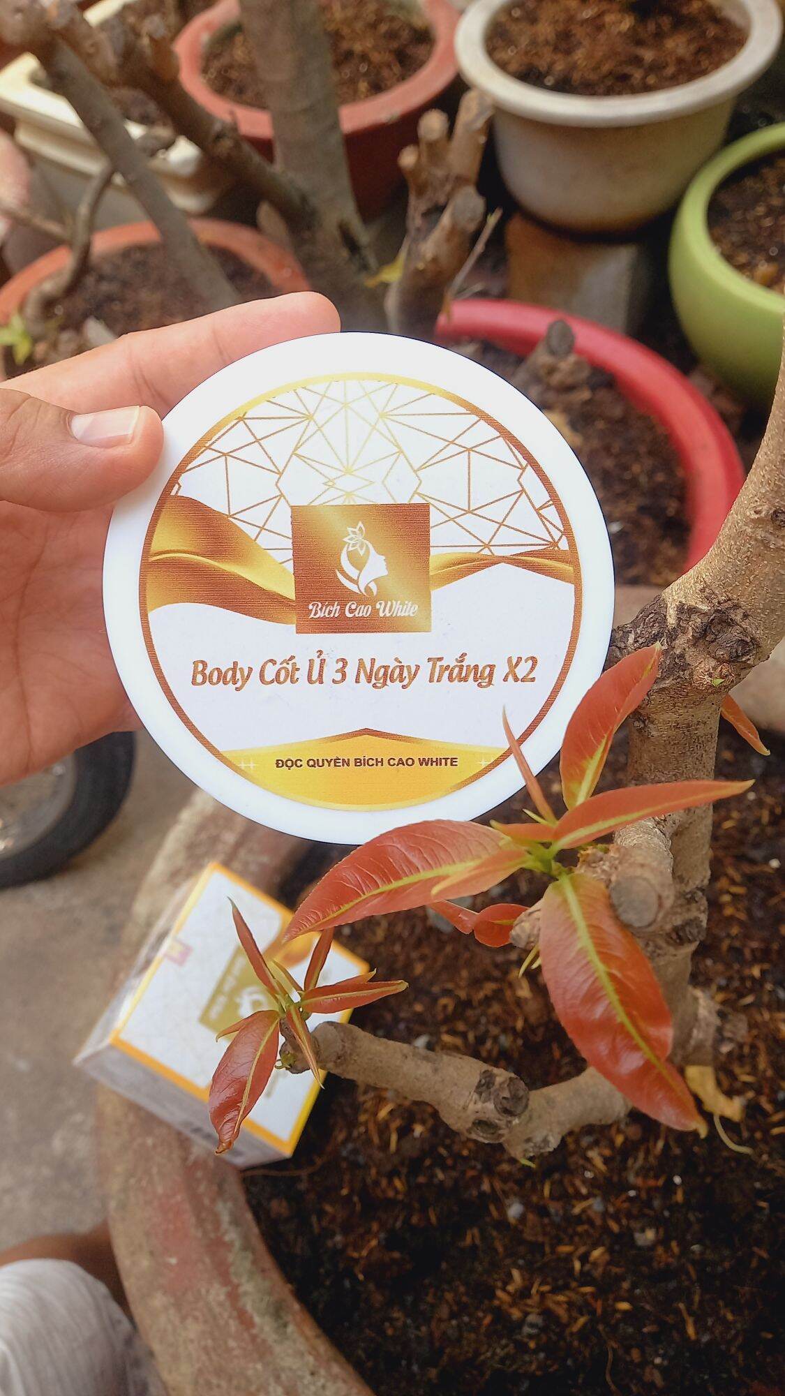 kem body cốt ủ bích cao white