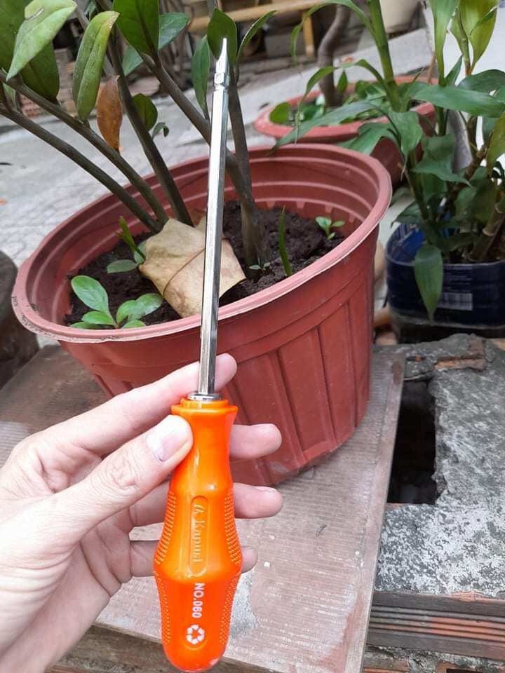 TUA VÍT KAPUSI CAO CẤP