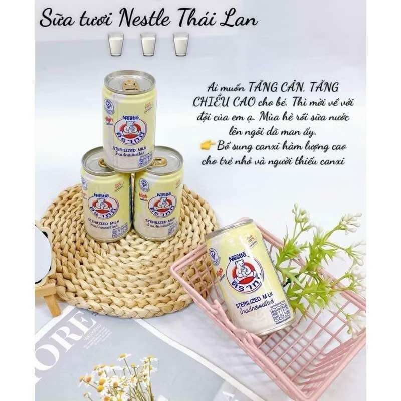 Combo 10 lon Sữa tươi gấu Nestle Thái Lan dạng lon 150ml mẫu mới uống là nghiền