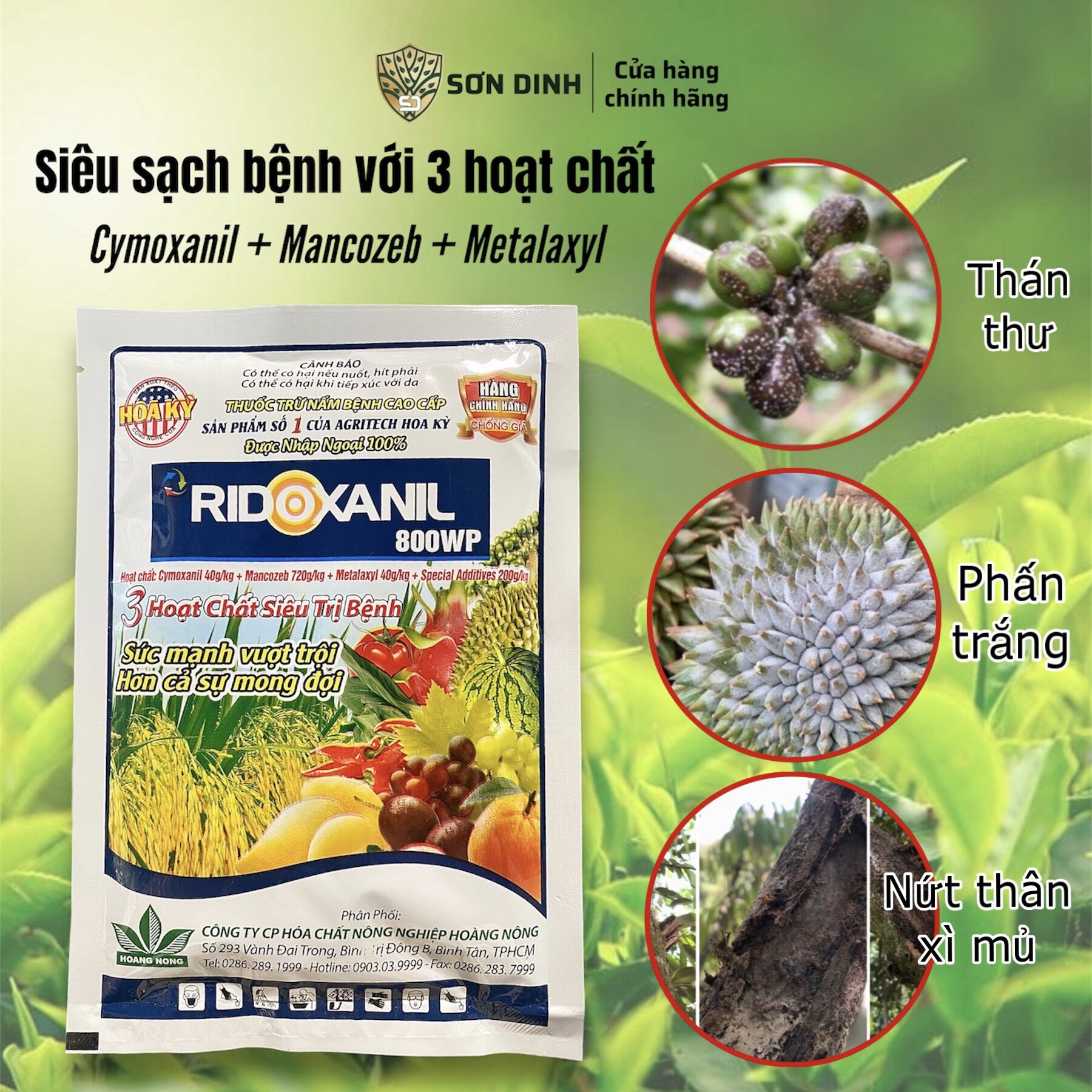 Thuốc nấm hàm lượng cao Ridoxanil 800WP xì mủ, nứt thân, thối cành, thối trái, thán thư, nấm hồng