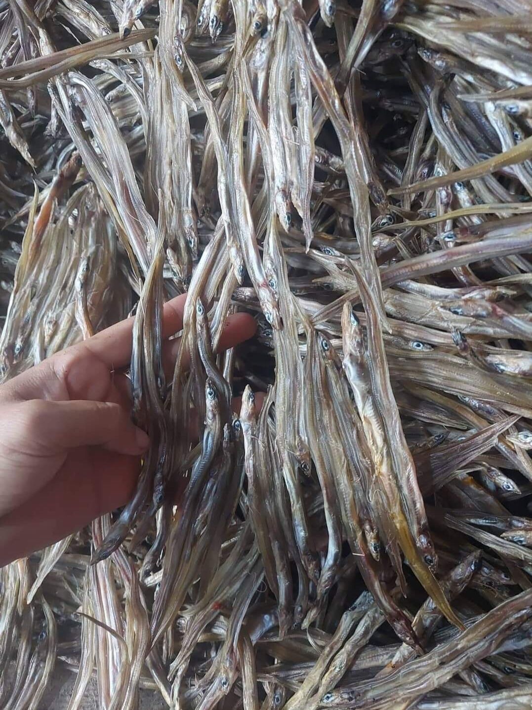 Khô cá sụn sịn, cá lãi (500gr)