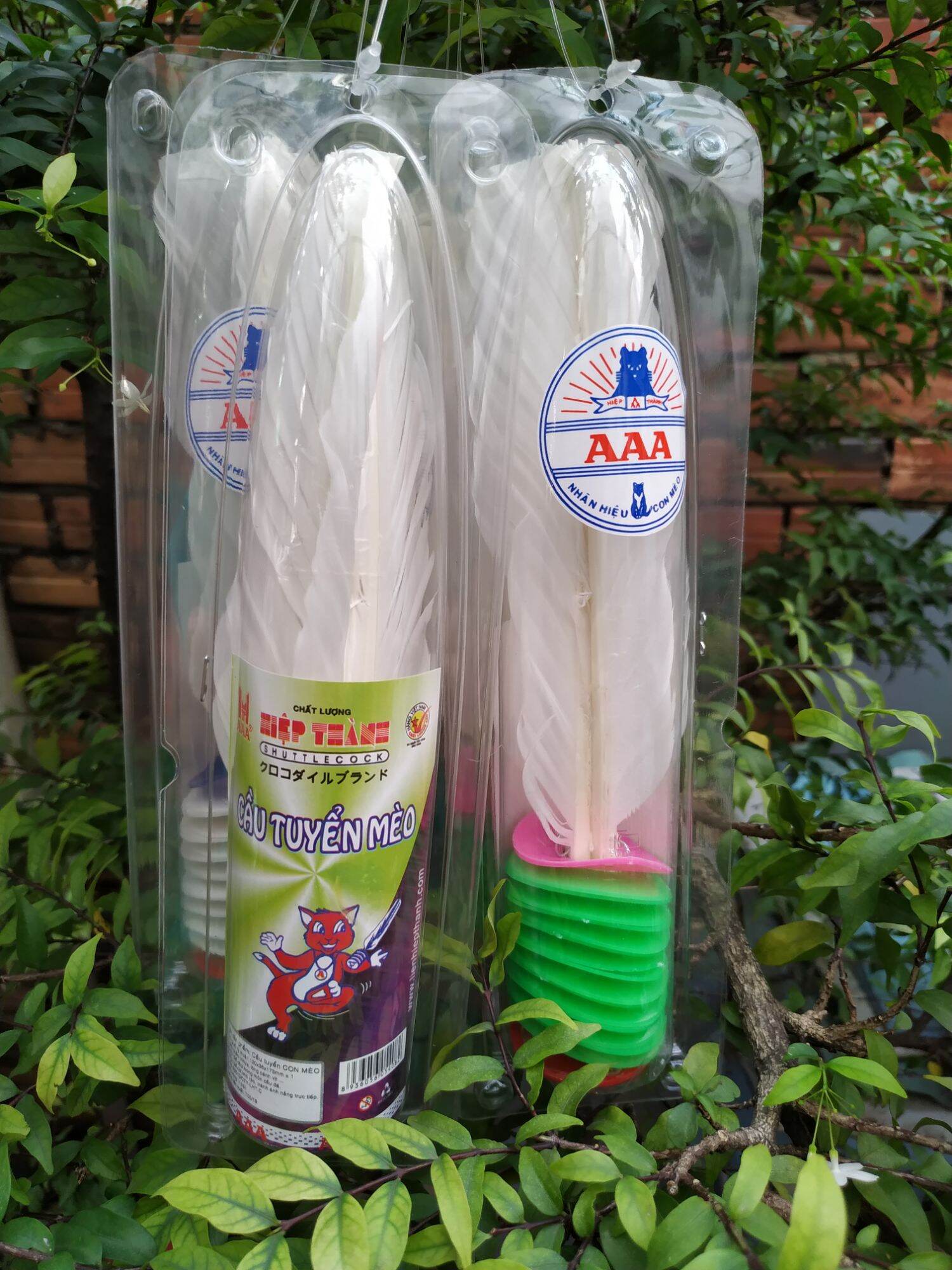 Cầu Đá Lông Gà Hiệp Thành AAA