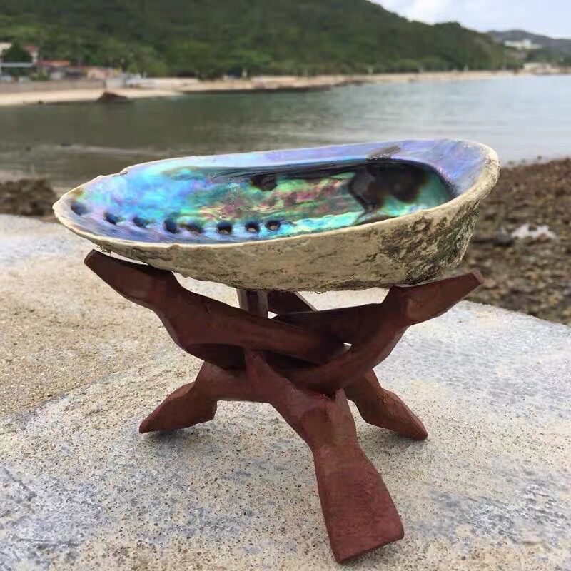 Đĩa ốc xà cừ- đĩa đốt sage