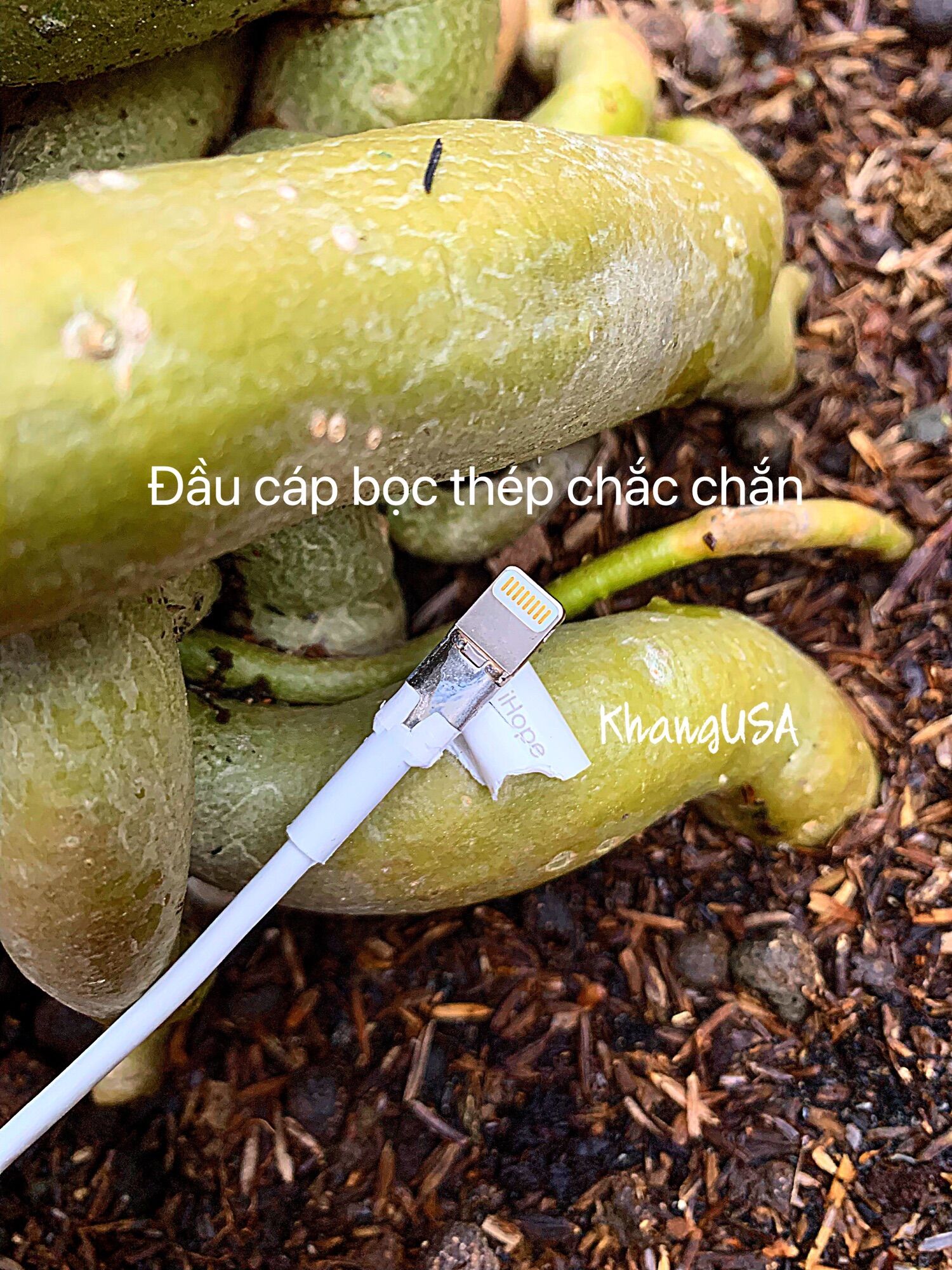 Cáp IHope A to lightning 19cm chuẩn MFI