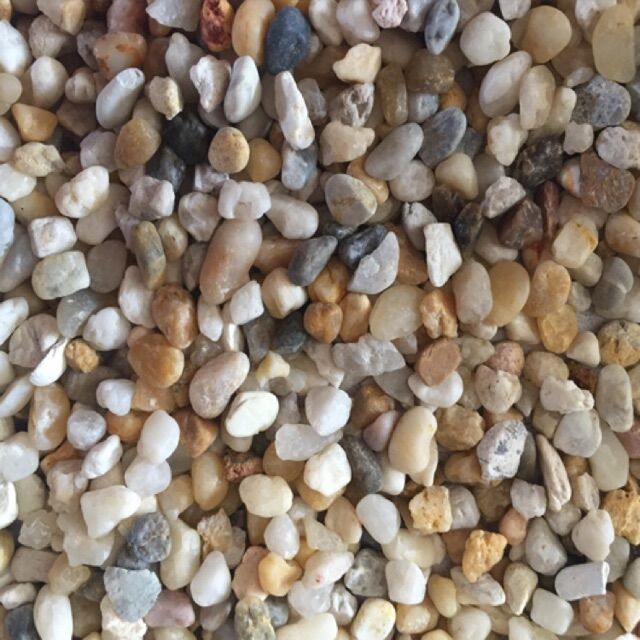 500g sỏi tự nhiên trang trí bể cá