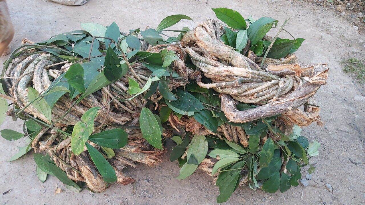 combo 3kg sâm xuyên đá