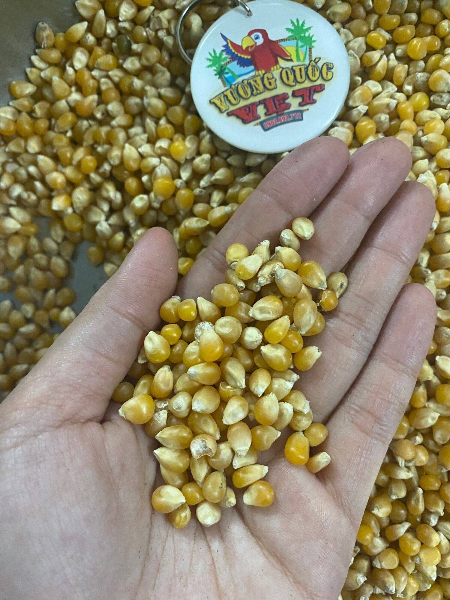 Hạt bắp nổ gói 1kg