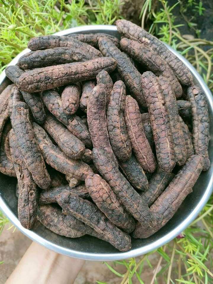 chuối hột phơi khô ngâm rượu 500g