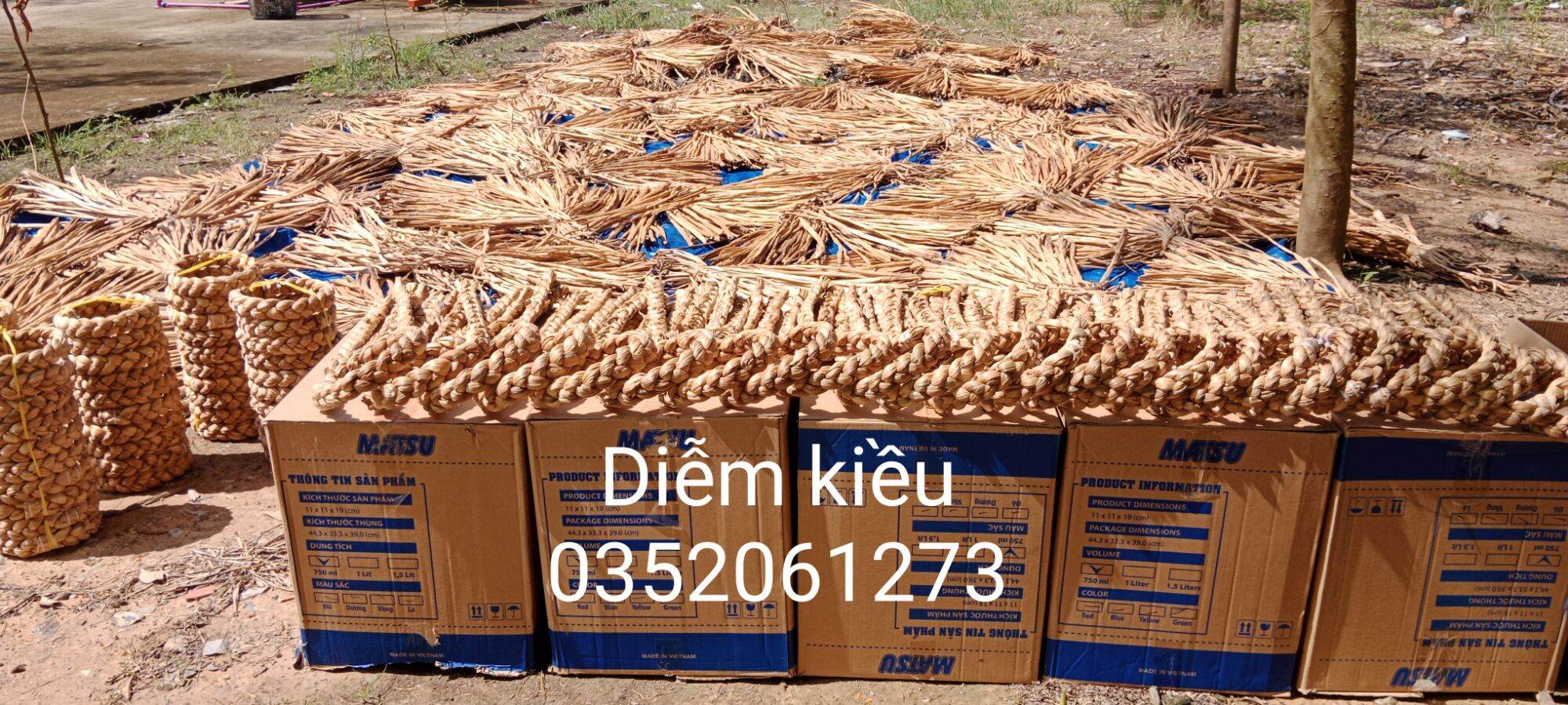Đế chưng dưa, dừa, bưởi...