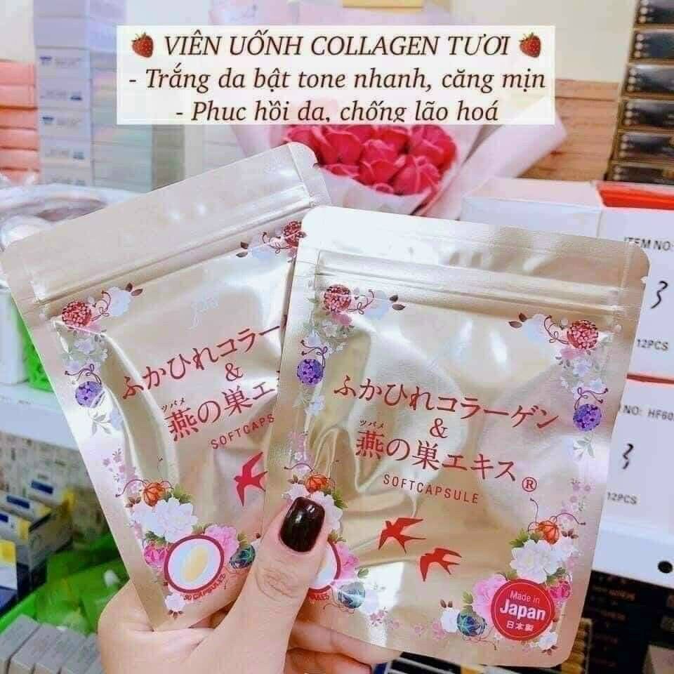 Viên uống Colagen Yến tươi