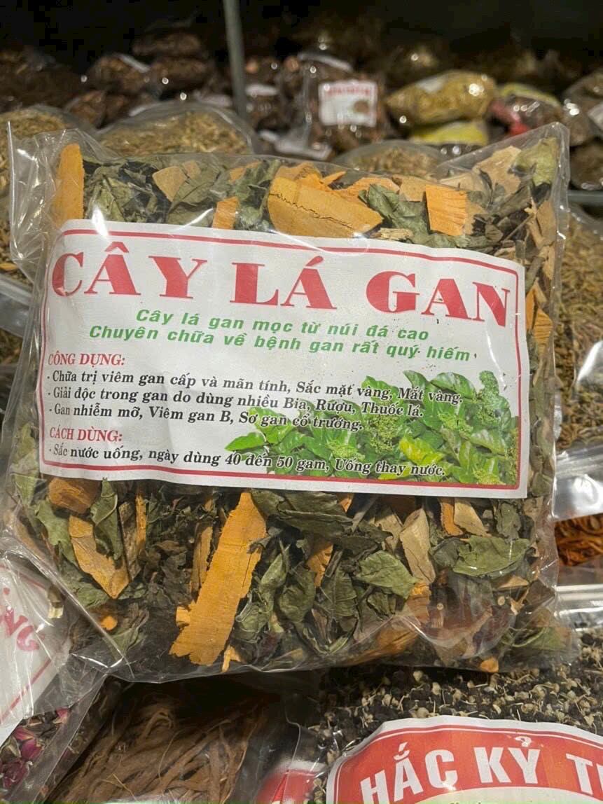 Cây lá gan