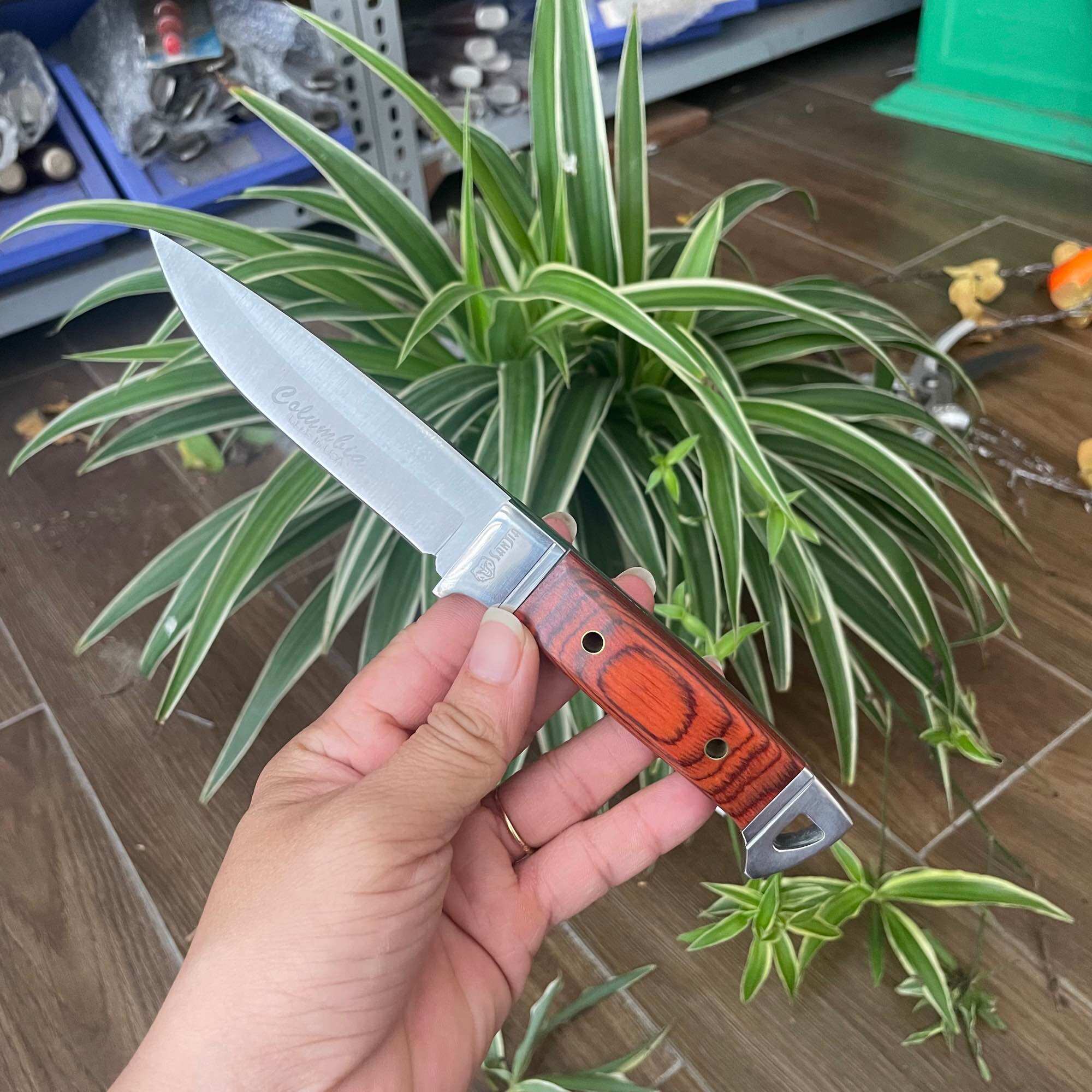 Dao gọt hoa quả có bao đựng, 19.5cm