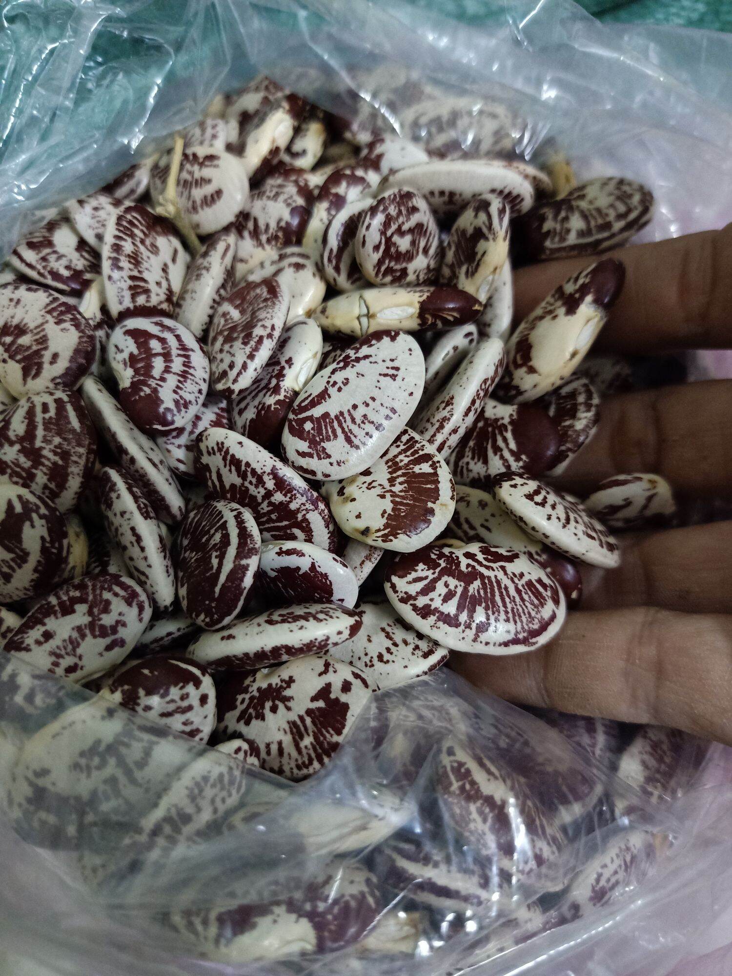 Đậu ngự khô 1kg loại 1