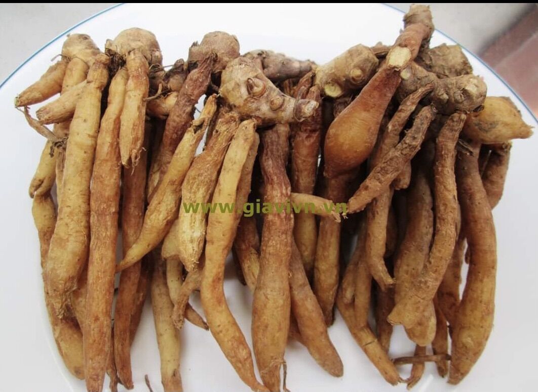 Củ Ngãi bún tươi 1kg