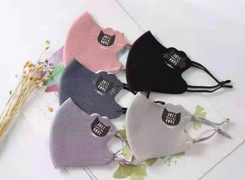 Khẩu trang su 2 lớp cao cấp