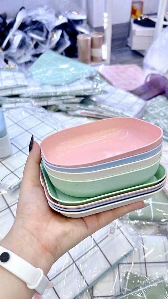 Set 8 đĩa lúa mạch màu pastel siêu xinh