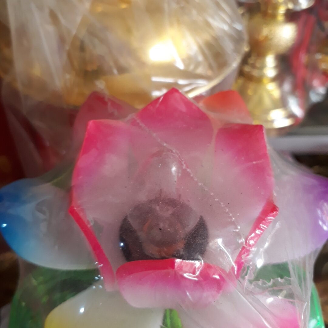 Bóng đèn  trái  ớt
