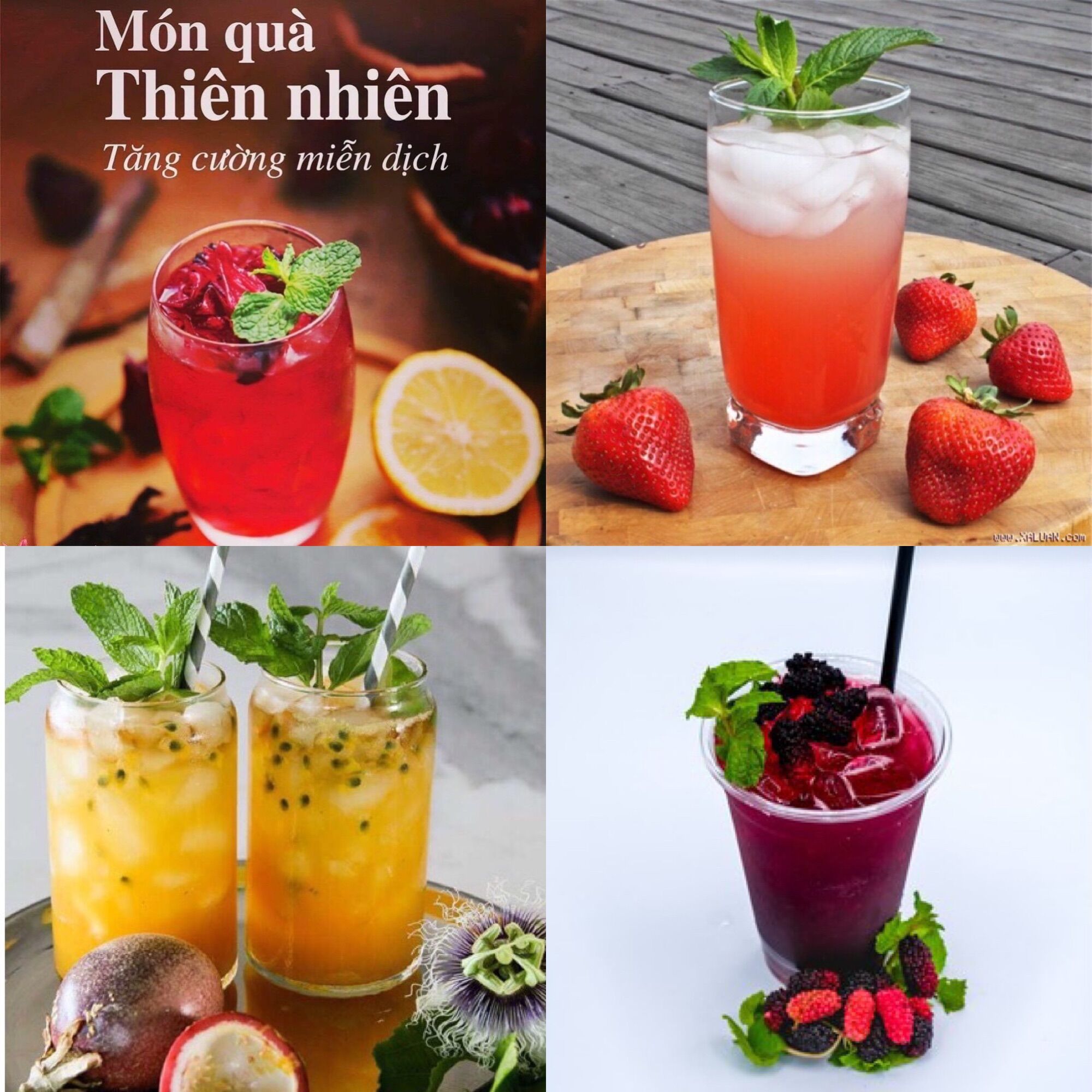 500ml Nước cốt dâu tây - Đặc sản Đà Lạt