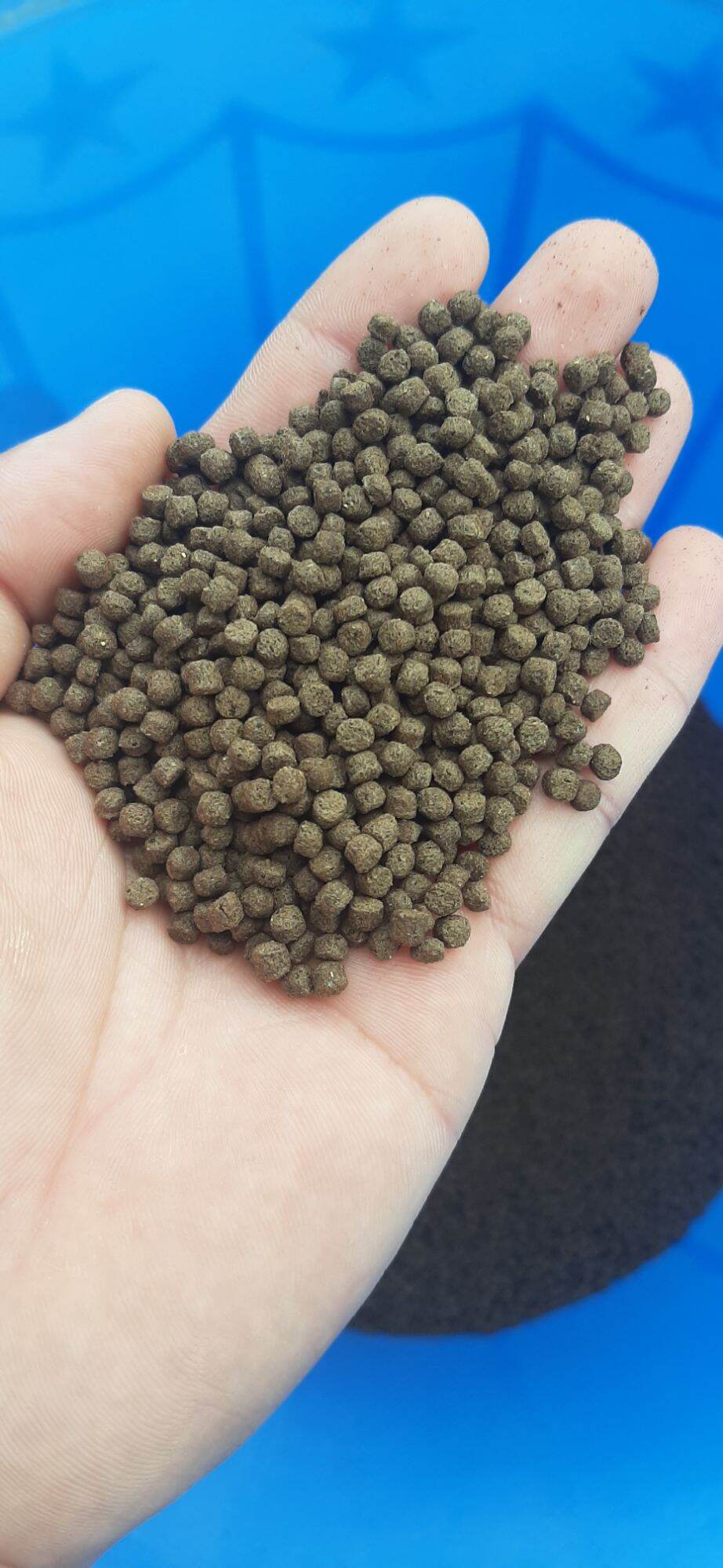 HCM.2kg   thức ăn cá koi.7 màu , beta viên 3 ly. mua trên 5kg tặng kèm 1 hủ muối tây ninh 100g