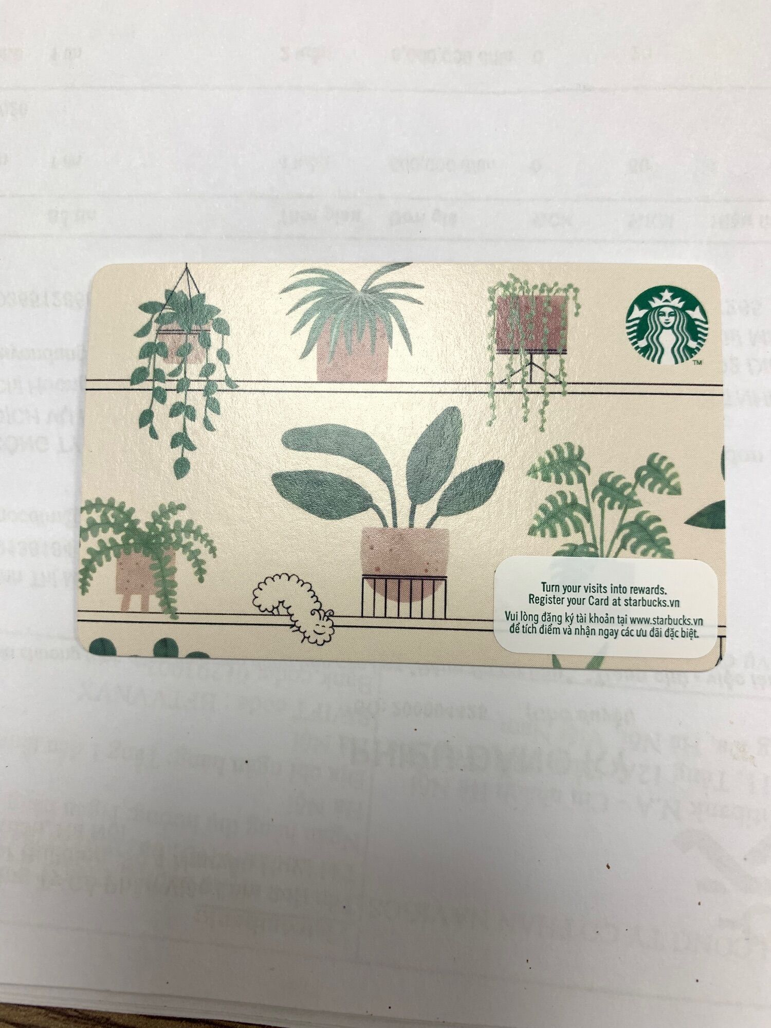 |CHÍNH HÃNG| THẺ STARBUCKS GREENERY PLANTS
