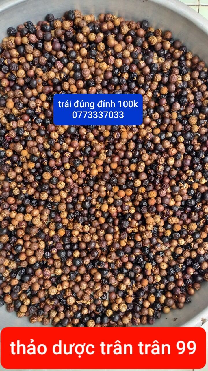 trái đủng đỉnh phơi khô 1kg