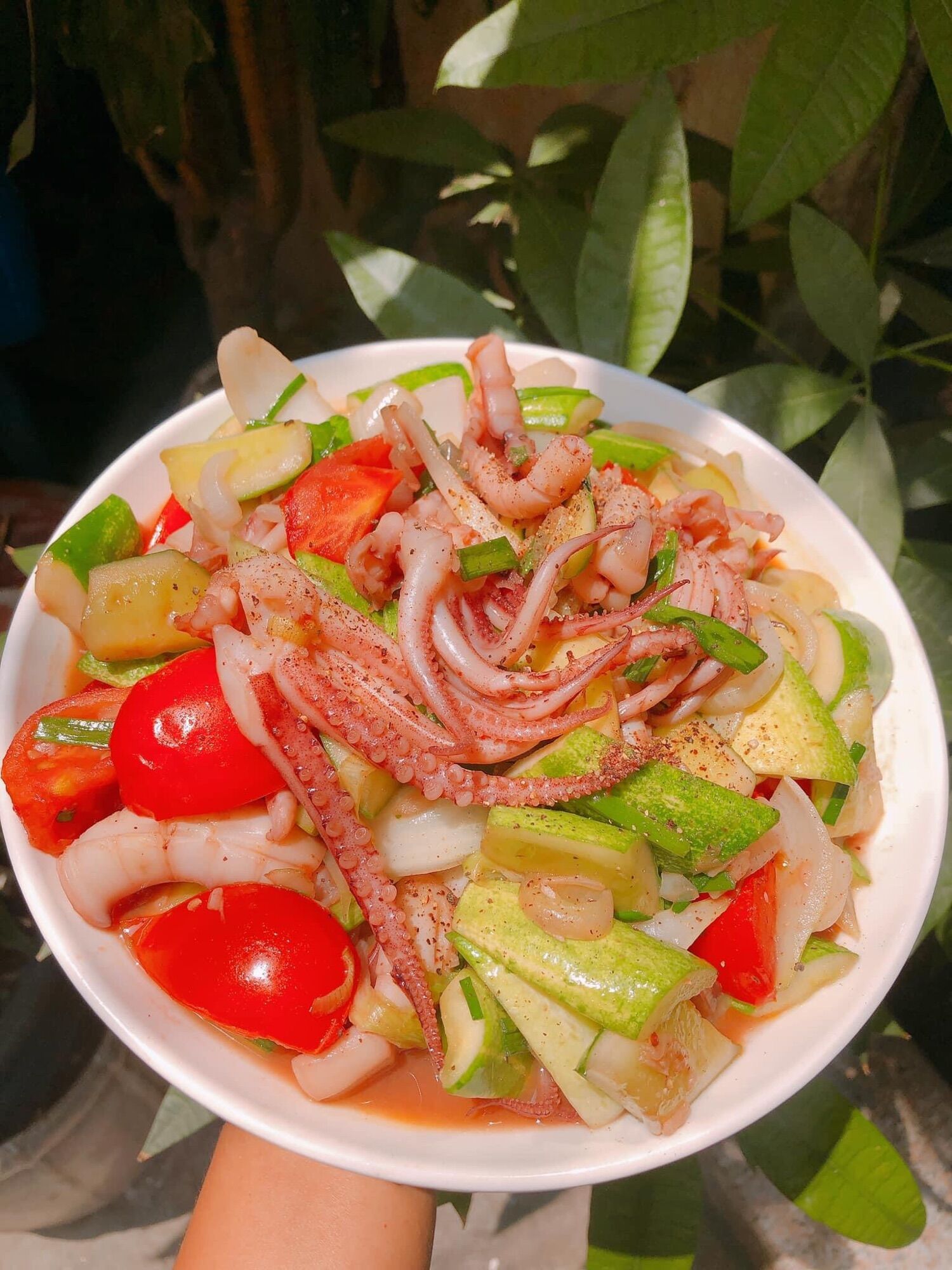 Mực 1 nắng Cô Tô - 1KG (3con)