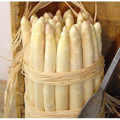 [HCM]Hạt Giống Măng Tây