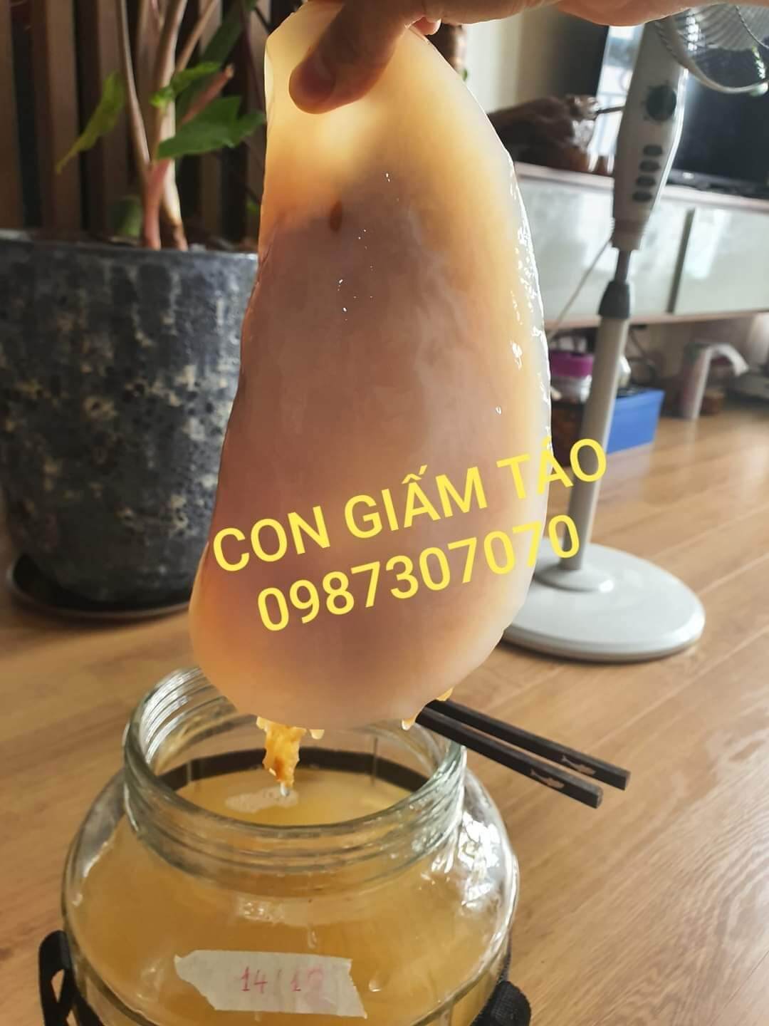 Giấm táo dấm táo thanh lọc giảm cân 1000ml