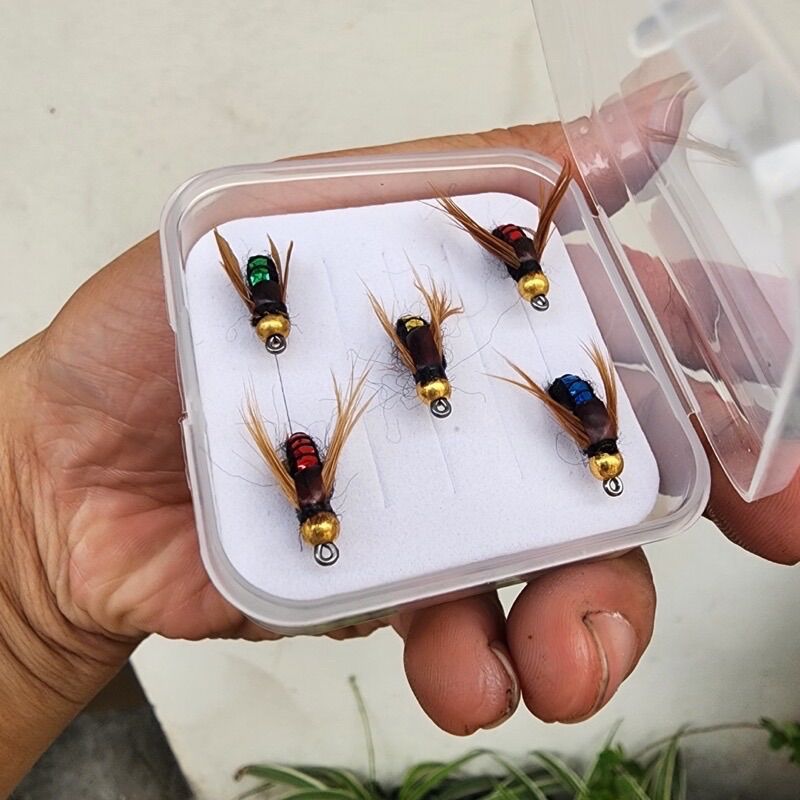 Hộp mồi ong 5 con