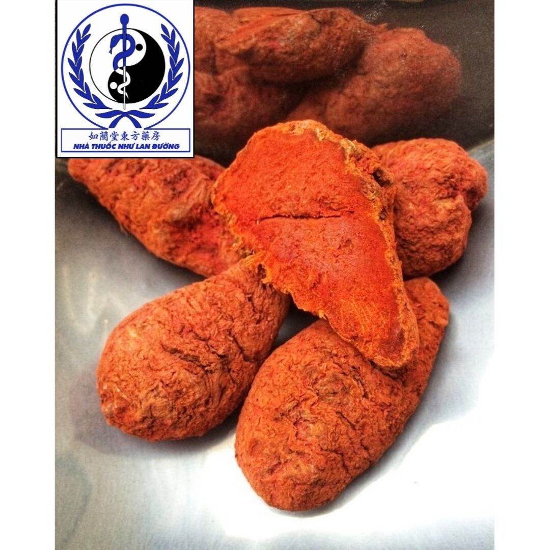 Nghệ đỏ nguyên củ