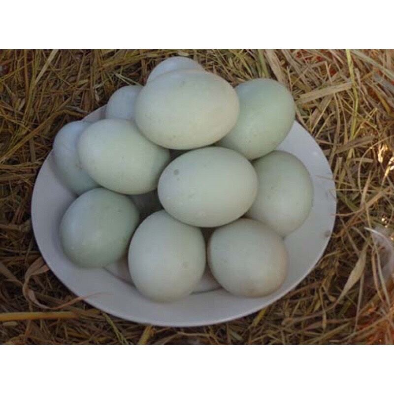 Hột VỊT LỘN con vừa ăn-5 trứng tặng muối chấm