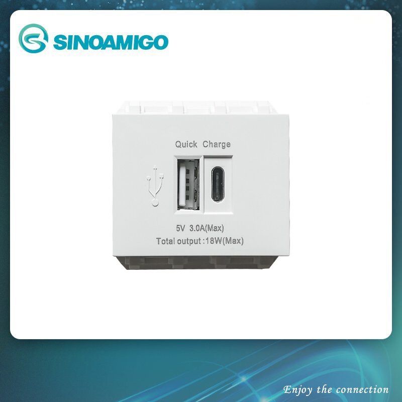 Nhân ổ cắm sạc Usb typec type C lắp vừa mặt Panasonic Wide